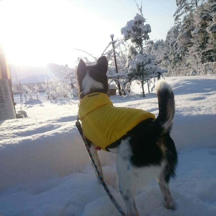 F01bc33b 6f43 437b 97a0 27565d1b3eae