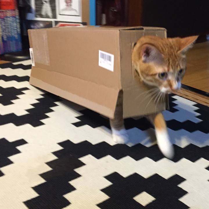 F01c3327 ba58 4c6b 80a4 3ed34c7c066a