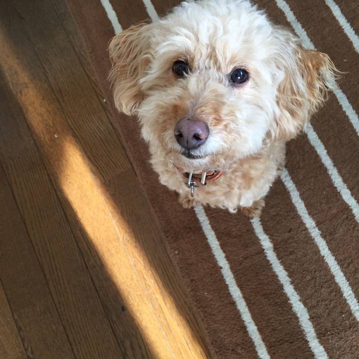 F01c52b8 31e8 4185 a89f a1c4a1650102