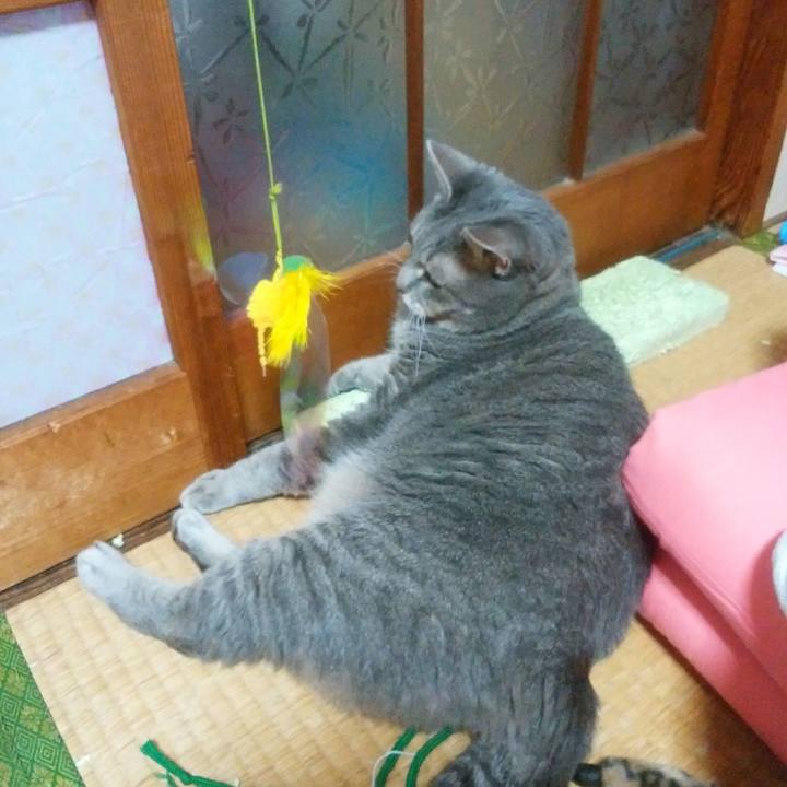 F01cd1b9 fd5a 4277 93b2 6e448b3be677