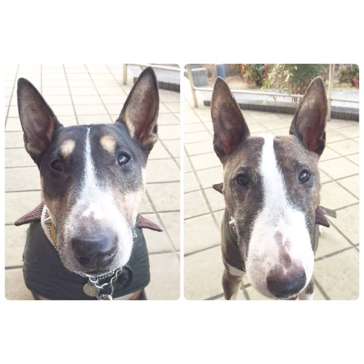 F01d1054 5083 4d46 8d77 537392f8118c