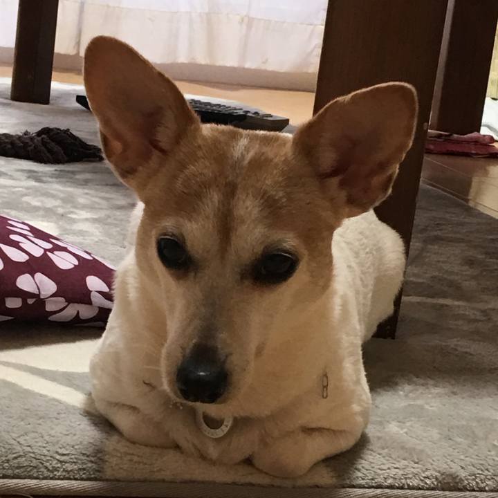 F01d63f7 6e4b 4603 922b 929000835b5f