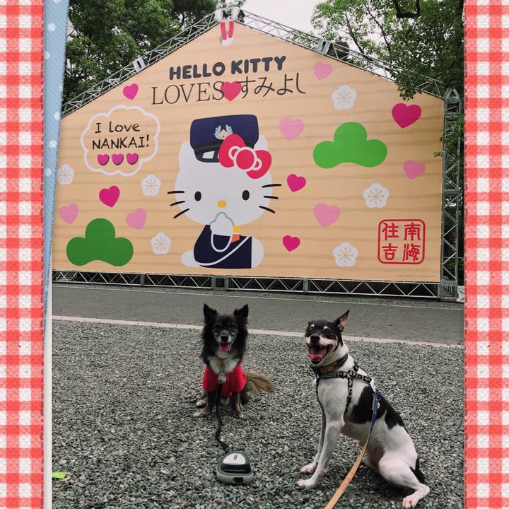 F01d829d c16c 4853 a4aa 71e8c63dfb72