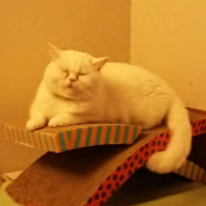 F01e3e0d 6151 47d3 acad 8dfb271196a5