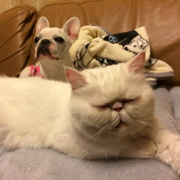 F01ea5a5 c03f 4bc4 b51c bf67f700114e