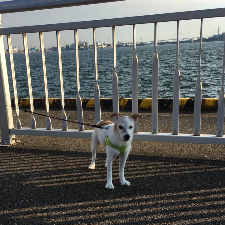 F01f144b c2a3 4fcd b97f 41d4ce1d2684