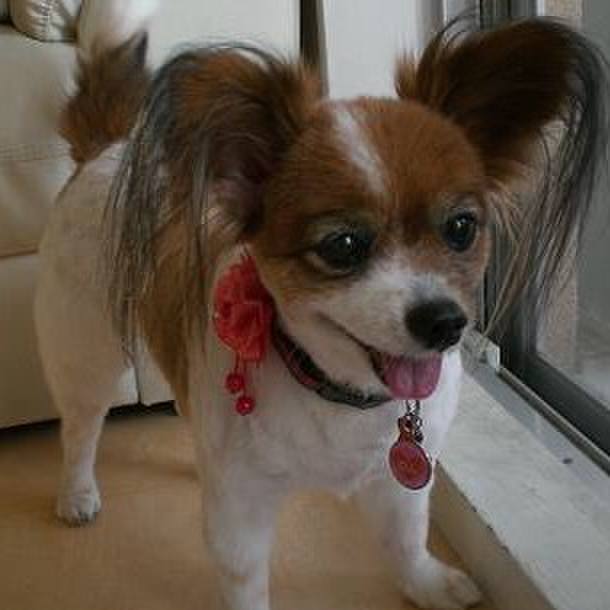 F01f567c f5a3 4b4f b0a0 bf24a1c69f34