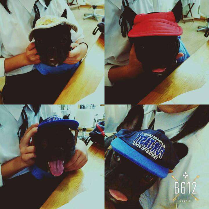 F01f910c 61e6 4967 bb3f a5c7483c2b7f