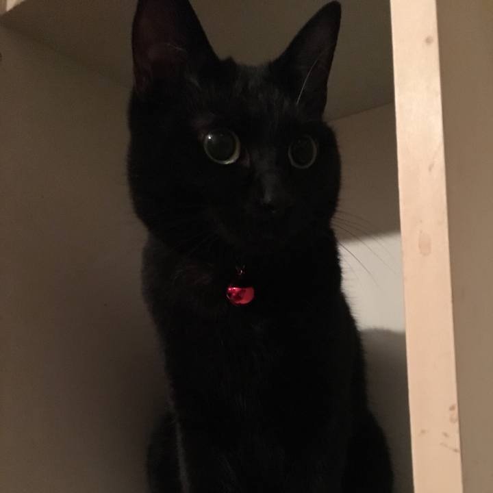 F01faeb4 9966 489d ae03 4f2af942555e