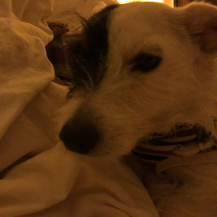 F0200bec 9d76 4ef7 b9e1 2151c03c55c0