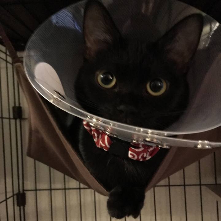 F0203976 9da4 4dda 8dd8 7a986accfb4d