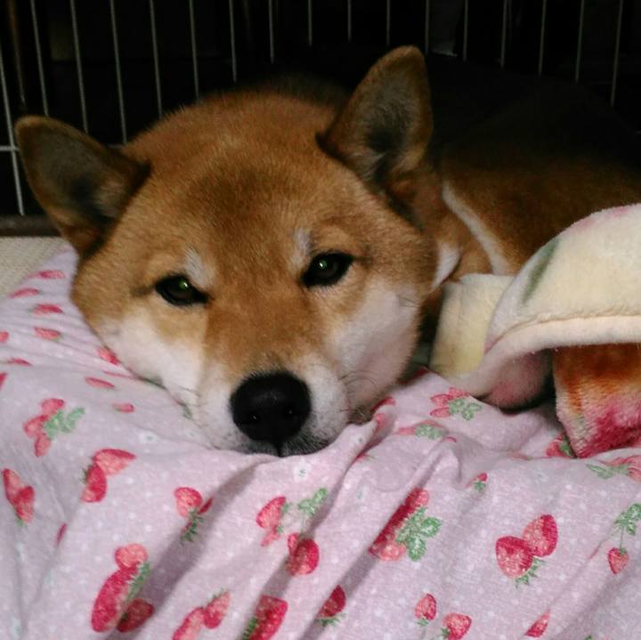 F02047b3 1ab5 42c6 ab9e 2afefae01210