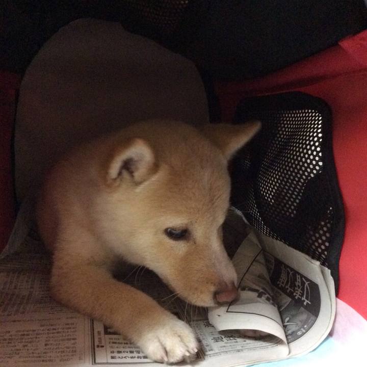 F0208f2b 04f0 42dd 9e73 9d3ad5a39c02