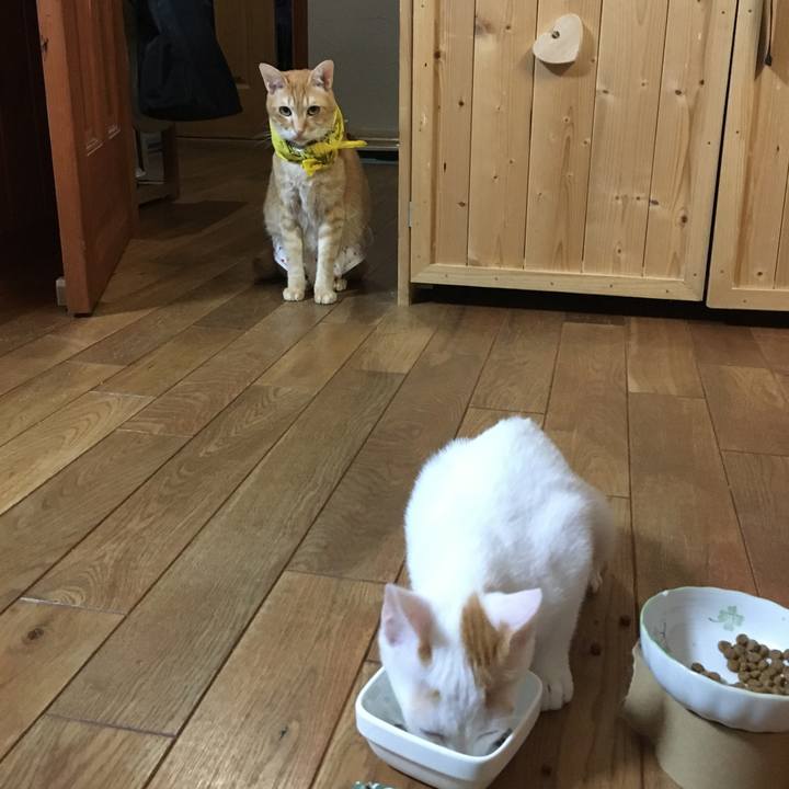 F0213f2a 9ee4 49ba 92c9 4b36322041dd