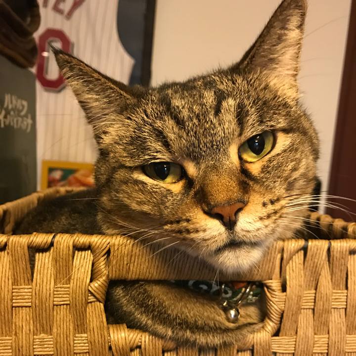 F0216bfa 8a2a 4c9a 84de 10211ef8bfe1