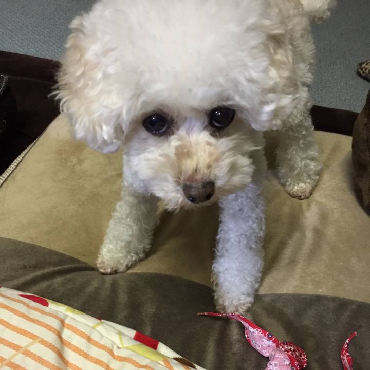 F021c792 f3a8 4add 92bc f6beae667b0f