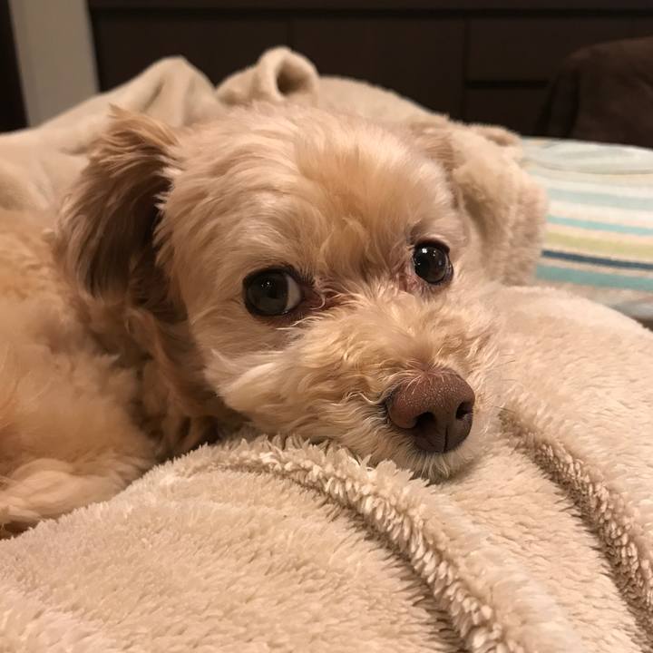 F021ca4d b0f6 4e87 9a9a 34475b97a298