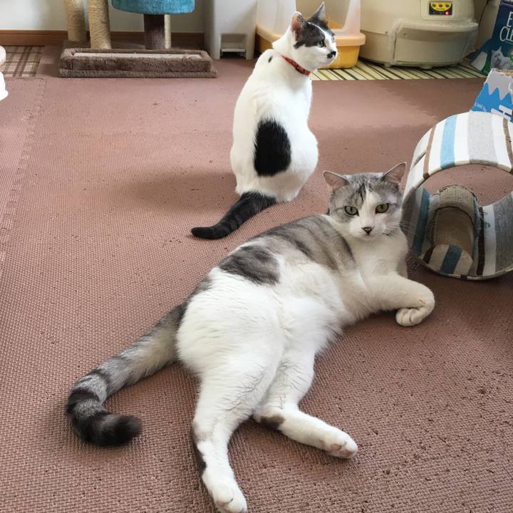 F021d4d6 4d7d 4a1c a85e 0d7a7458c635