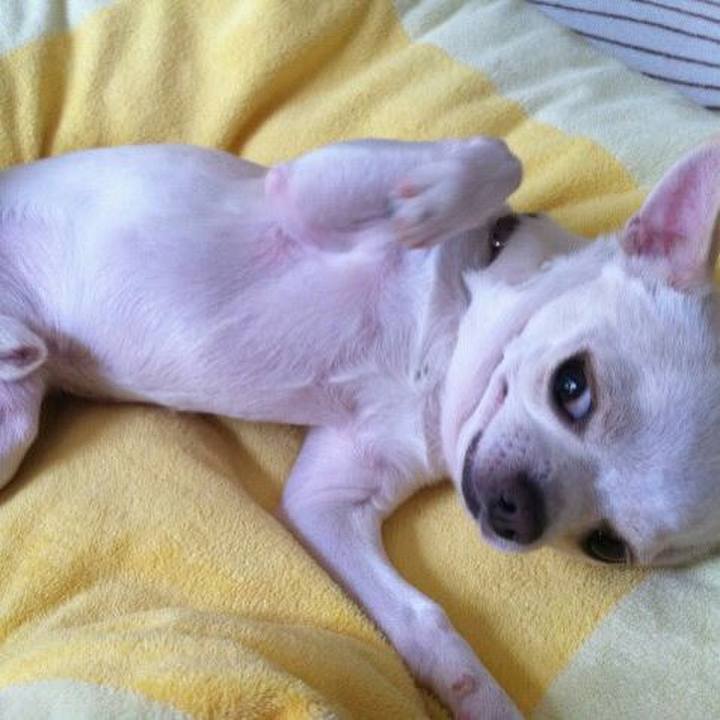 F0227676 dc2e 4a15 9394 2aa4dbc26d0f