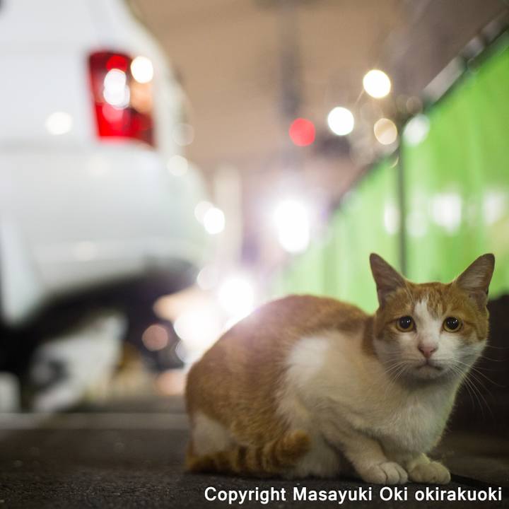 F022e29d 8b6c 49f7 bc85 76f7d4df51f9