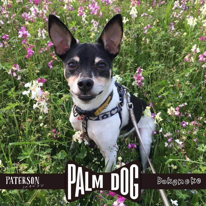 F022f304 d662 40d5 9475 dc1d39954640