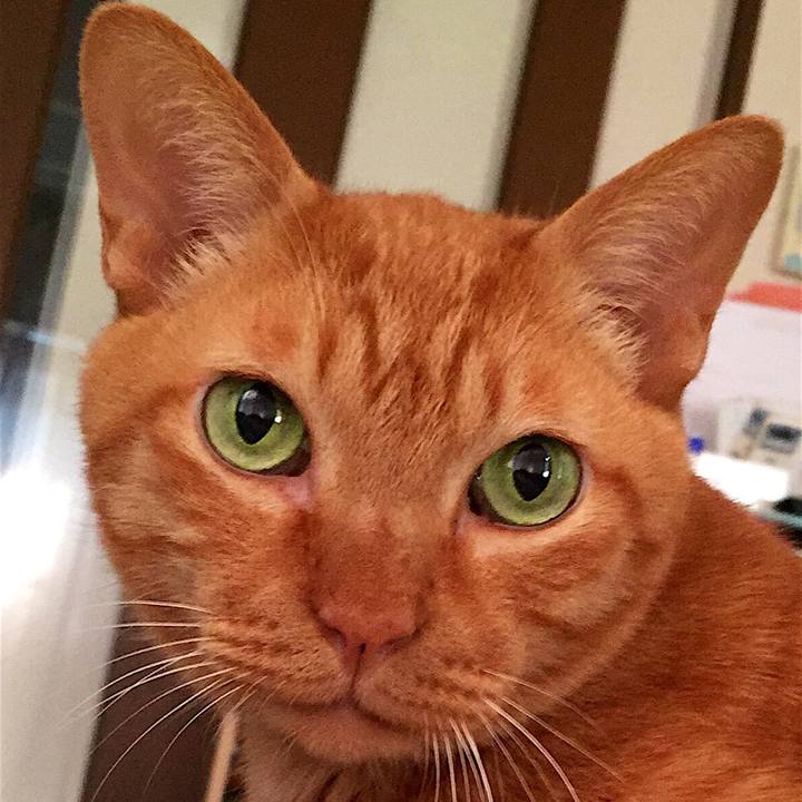 F023259e 74cc 4df8 a378 5865e30f28ea