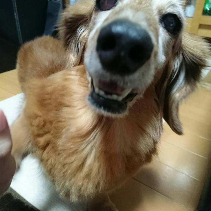 F0236750 9c90 43d8 80b6 5dfbe1cf672d