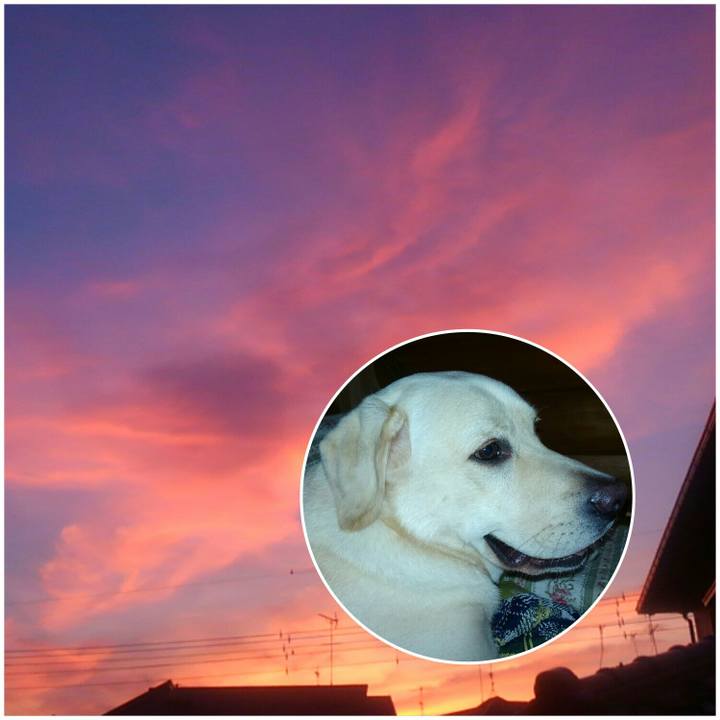 F02464f7 cf10 4f53 b2fb 580d027ac09f