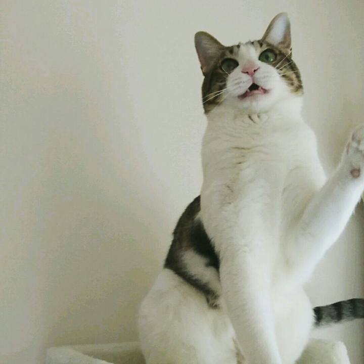 F0246f4a 724e 4900 99c2 2022bb3f095d