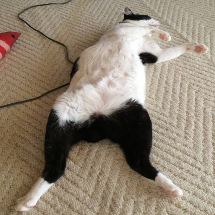 F024b06a 3d25 4cd7 9e24 40790f639a1a