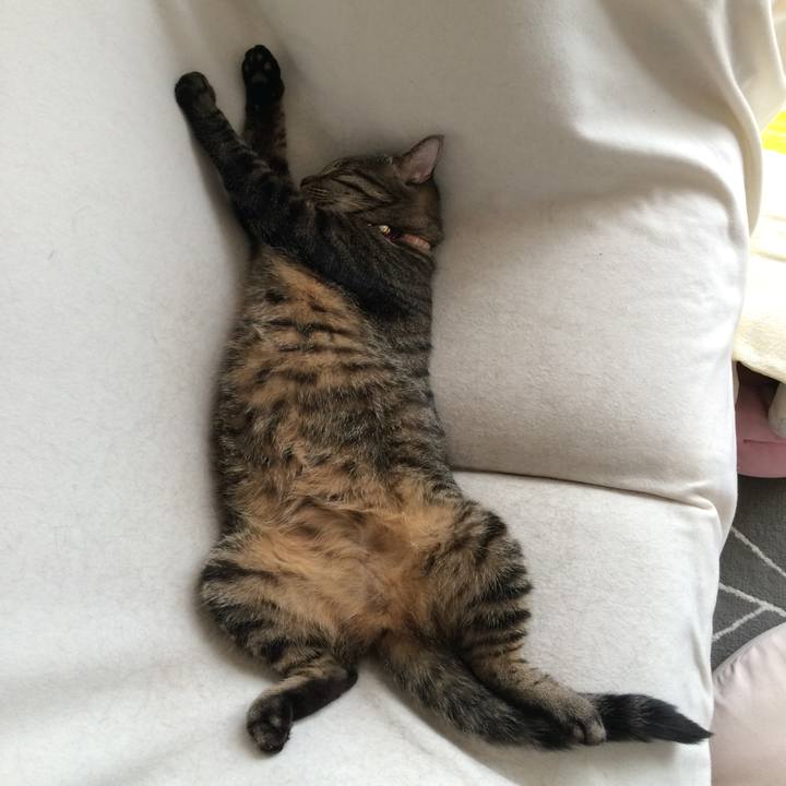 F024da94 d886 46f0 b629 3d0f1e41a65f