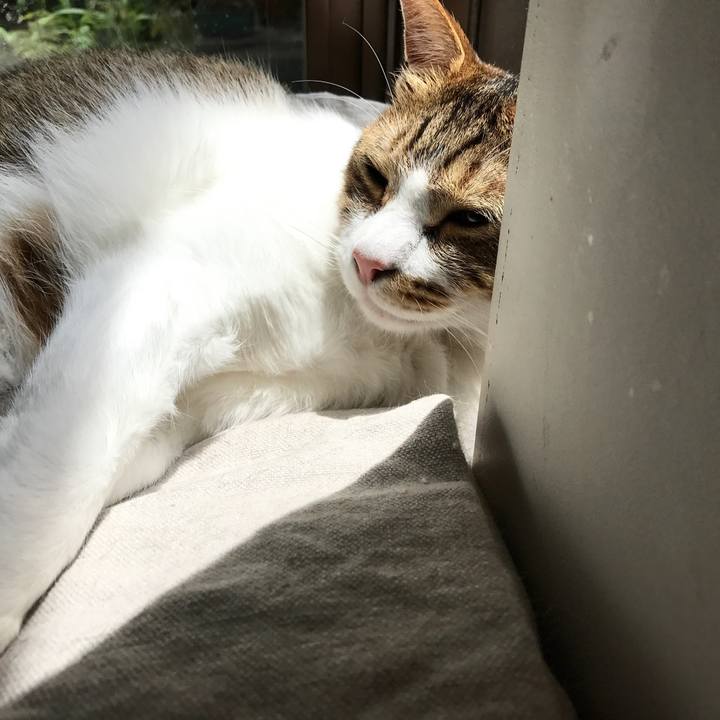 F0250ad9 8dbb 4a76 8271 1356538edcff