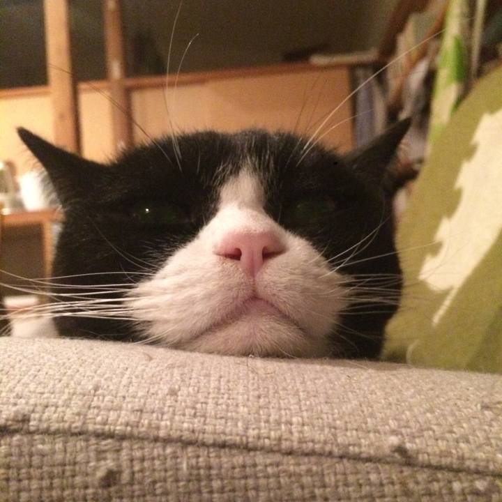 F0254e2a ee07 4ba5 8fee a626b77a9aaa