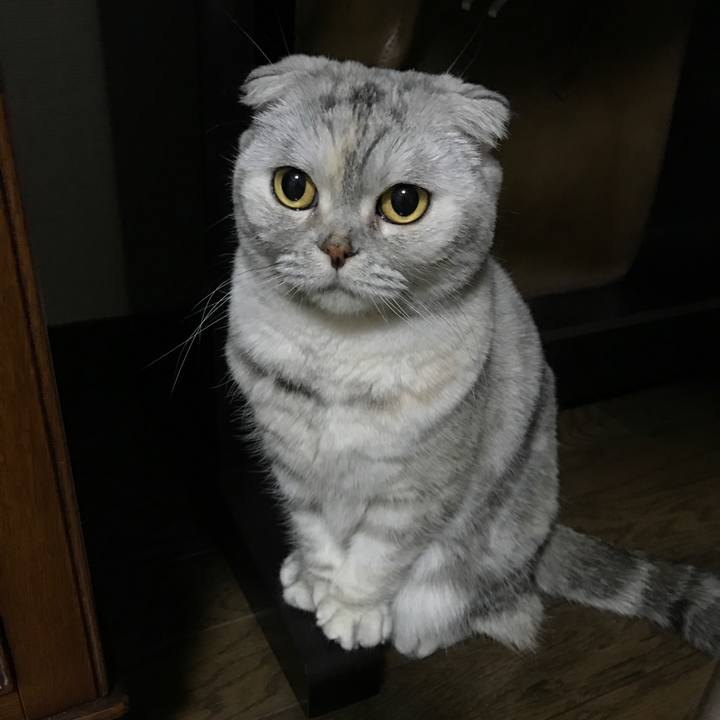 F025d42f 62e8 4499 b2d7 d3251a913c2b