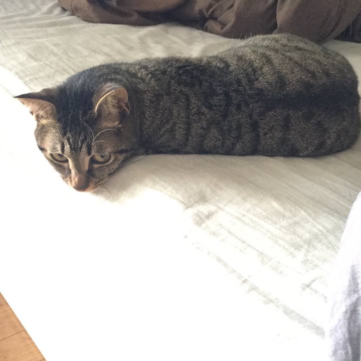 F026567a 4bed 4dc0 8622 943f622f4229