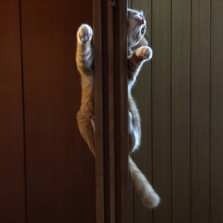 F0279c00 eea6 49e3 9e35 c35970c69d2c