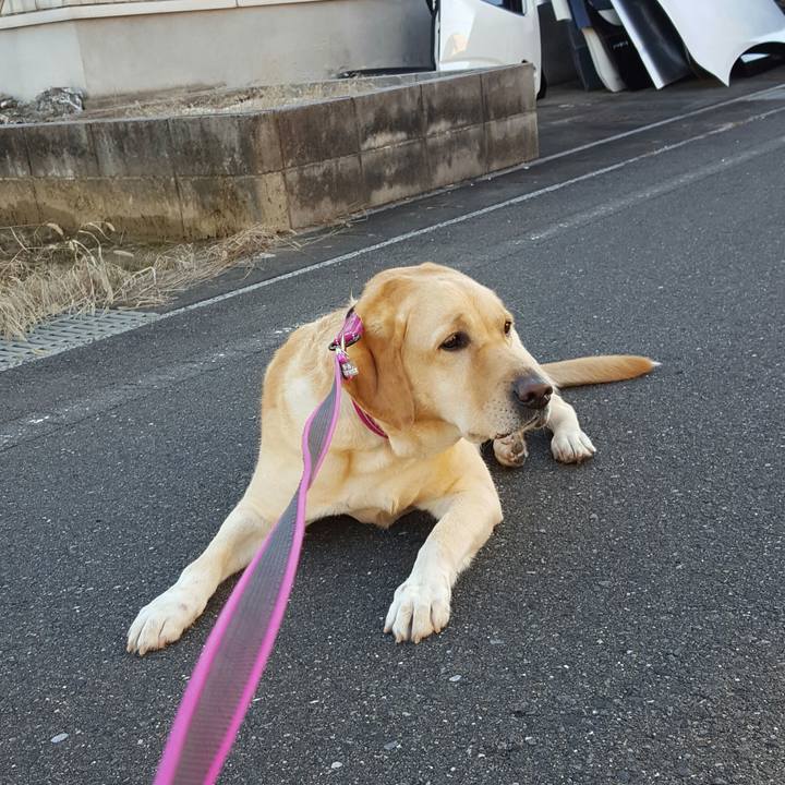 F027c142 9154 48c8 b35a 02843a75ecfc