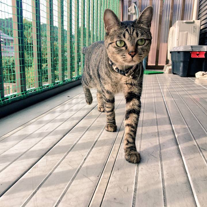 F0280777 7d9a 40e1 8b62 5445440ae827