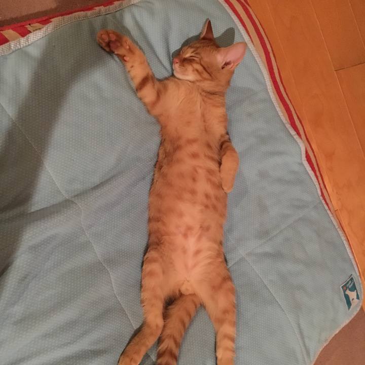 F0289961 5087 4ebc a39f d744c3a2bf1f