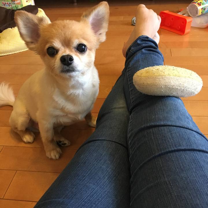 F028edf1 74ab 4b13 aa94 60628cbf667a