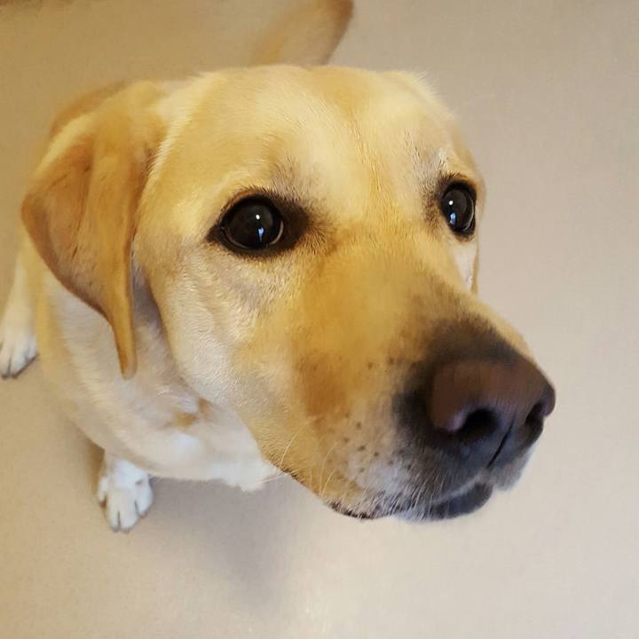 F029e478 14b8 41fe bf75 0adfa6be8fb4