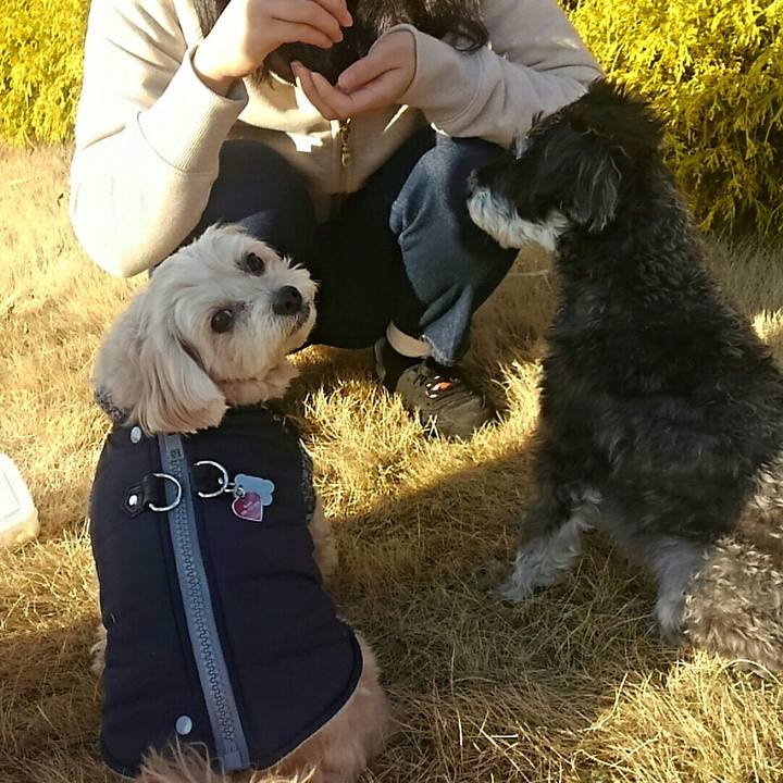 F02a4c85 741b 4834 808c 7dc211dfaa05