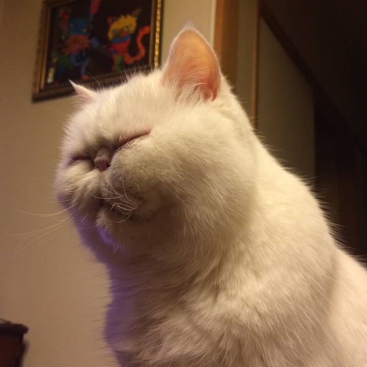 F02b2acc 72a2 48e4 a7cb cd732eb54827