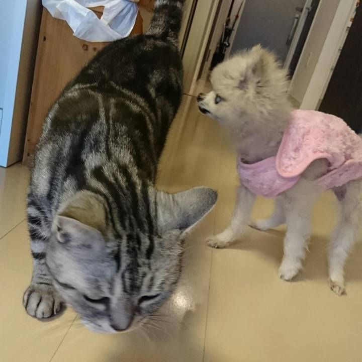 F02b7933 20fd 4e52 ad2c d53eb9611738