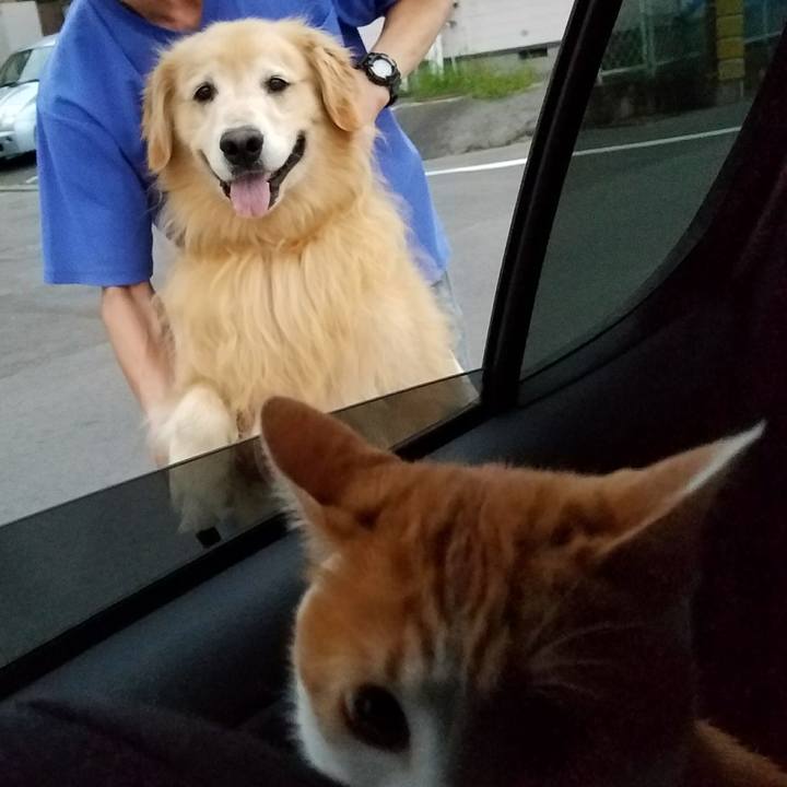 F02baf7f b09c 44ce 9cc6 908e5c611357