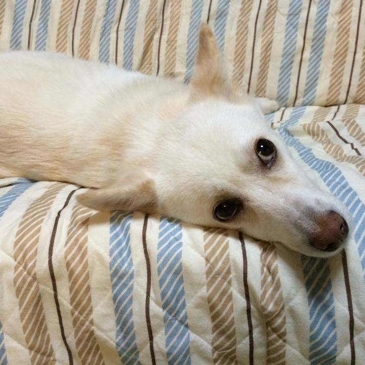 F02bdbc8 fa5a 4726 9152 59fed4172fb4