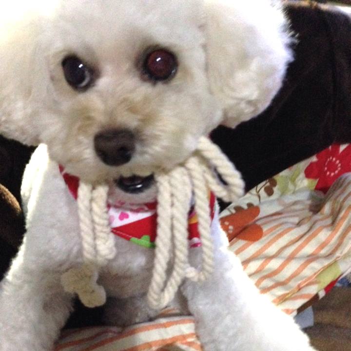 F02d8f35 991a 4702 8a74 e83d45bd2905