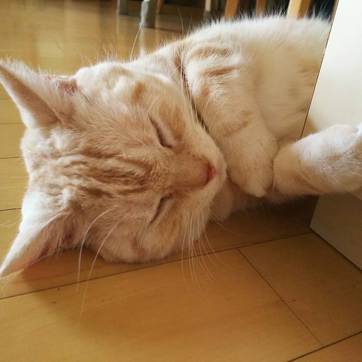 F02d9749 e514 4185 a20b 0ff7b41de19d