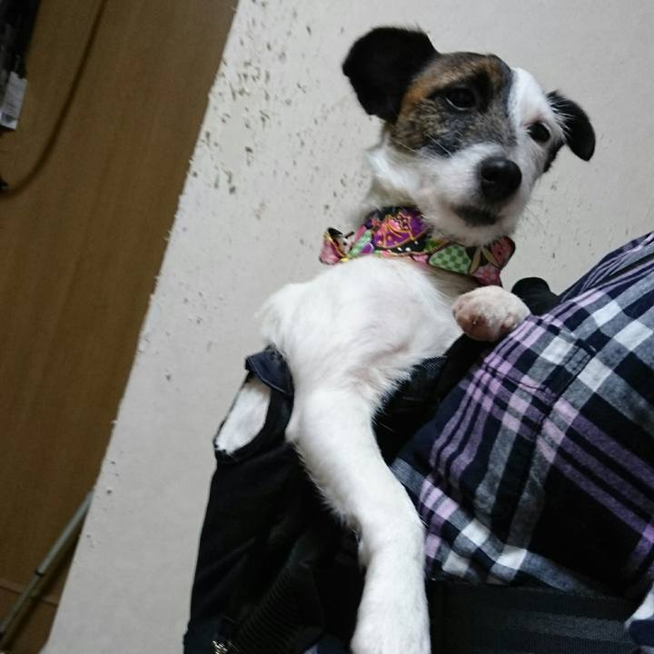 F02dca54 b15e 4afe 936a 8759535d9787