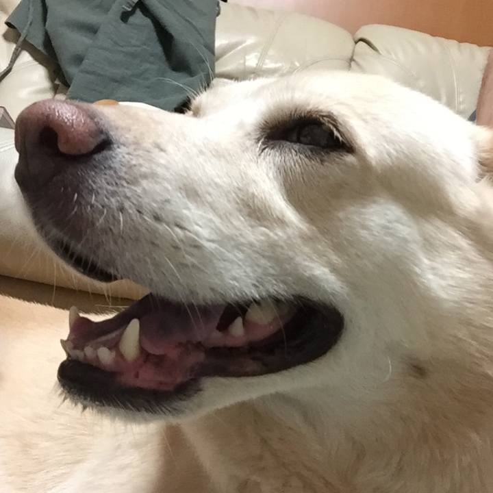 F02dd758 c867 4415 94da e4808249b922